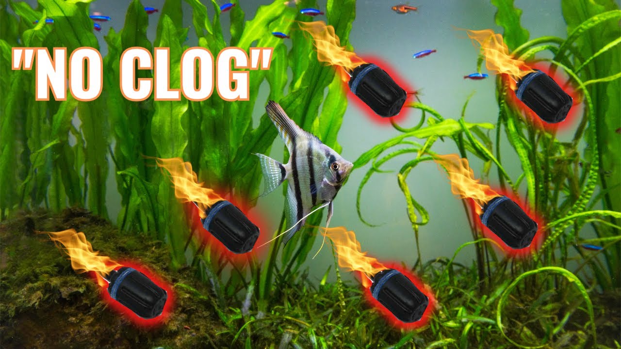 Правда о воздушных камнях Ziss No Clog