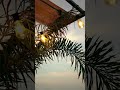 our cafe