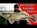 Big River Zander and Perch - Lure fishing UK- Texas Rig