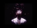 The Beauty Of Fallin Flower By Seventeen 