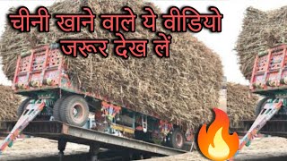 चीनी खाने वाले ये विडीओ जरूर देखें। sugar making in sugar mill।cane...