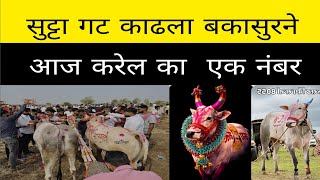 आज कासारशिरंबे येथे चालू असलेल्या मैदानात बकासुरने  गट पास केला ? कोण होता पैरा? मैदान कुठे लाईव्ह 