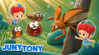 who lives water water insects song kids science junytony