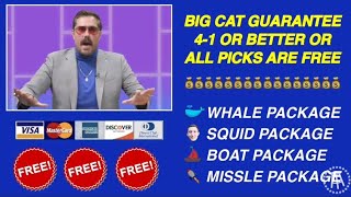 Big Cat Says...go 4-1 This Week Or The Picks Are Free