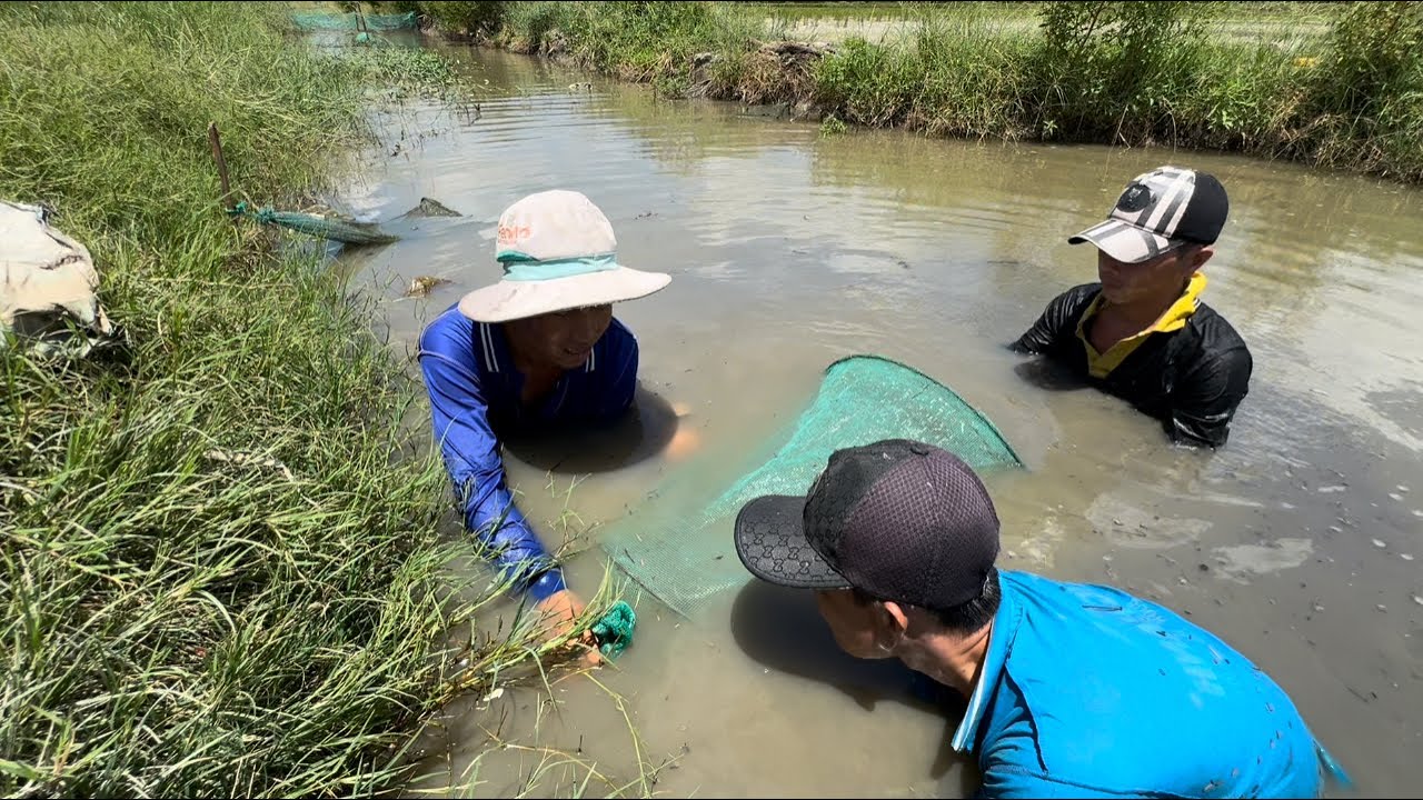 Cách Bắt Cá Hiệu Quả Mùa Khô - Cá Nướng Giữa Đồng - | Hunting ...