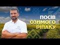 Якісний посів озимого ріпаку. Рекомендації від агронома-експерта компанії Макош