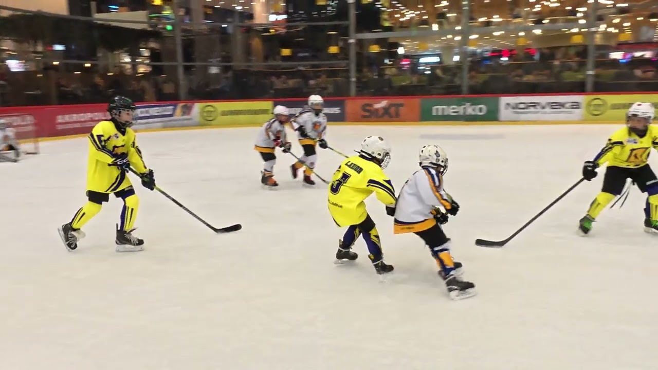 HC Klaipėda mėlyni vs Šiaulių Šaulys U10  Klaipėda 14 02 2026