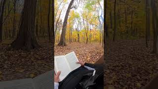 Information Reading The Iliad BOOK XV News