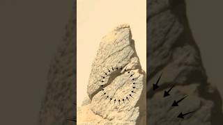 Nasas Mars Perseverance Rover On Sol 204 Sept. 16, 2021