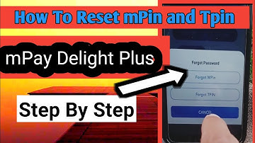 How To Reset Mpin and Tpin in mpay Delight Plus | Forgot mPin Tpin Both Solution