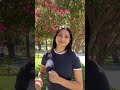 Un Bailecito Al Ritmo Del Llanero De Ñuble
