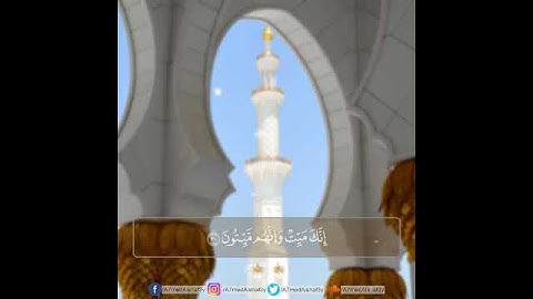 القارئ أحمد الشافعي من سورة الزمر