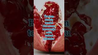 Enam suresi - (99) - Kuranı Kerim meali