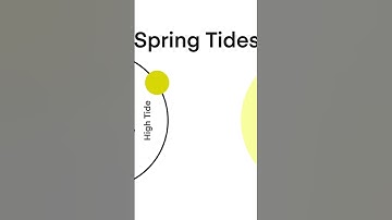 Tidal locking & habitability: where to look for life