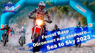 :       Sea to Sky 2023. Forest race.