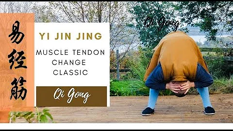 Shaolin Qi Gong - Yi Jin Jing  - Muscle Tendon Cha...