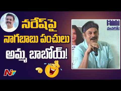 Nagababu Satirical Comments on Actor Naresh | MAA Elections | Ntv