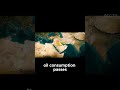 The Waterway That Controls the World #straitofhormuz #worldeconomy