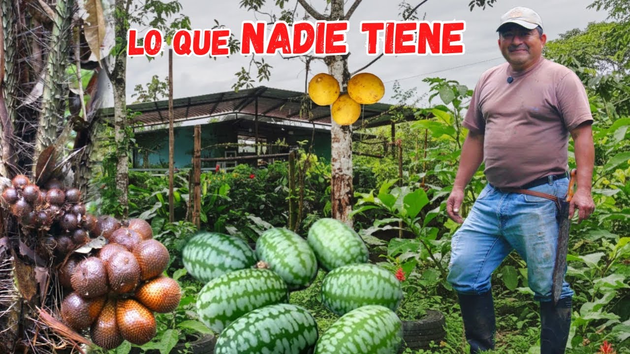 se FUE de la CIUDAD para VIVIR en su FINCA 🌳🍋 Josué y Elie  