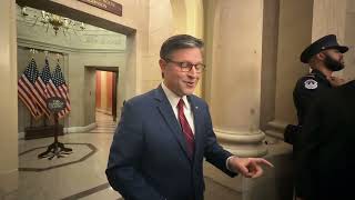 Raw Video Mike Johnson Says Donald Trump Was Fbi Informant To Help Take Down Epstein