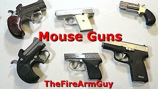 Great Backup Guns Mouse Guns - Thefirearmguy