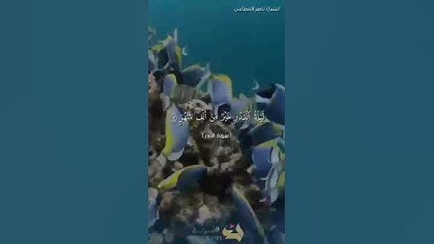 سورة القدر عمل الطالبة فاطمة خالد من ابتدائية الفرعاء للطفولة المبكرة