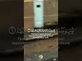  إ ذا ز لز ل ت  الأ رض  ز لزال ها   عبدالولي الاركاني                     تركيا    سوريا    سمعها