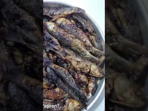 من ايد حنتوش قلبي ربي يديمك