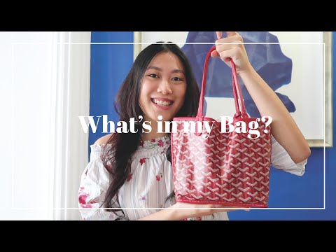 Goyard Mini Anjou Review - PurseBop