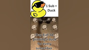 I 3D Printed Ducks For My Subscribers