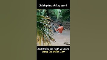 Bắt những con cá cụ