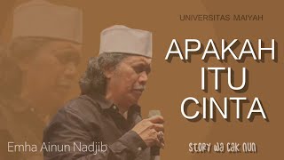 Story WA Cak Nun Apakah itu CINTA (Teks bahasa Indonesia)