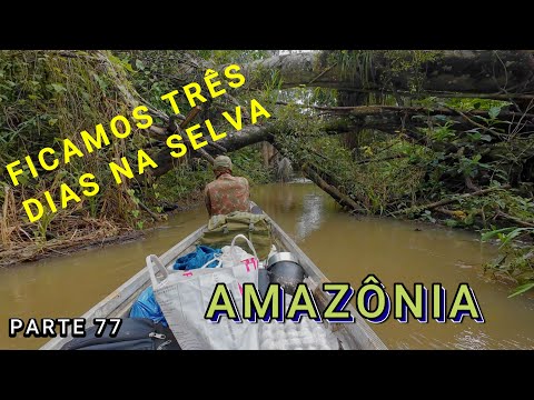 THREE DAYS IN THE AMAZON RAINFOREST WE CAMPED IN THE JUNGLE VIDEO 77 