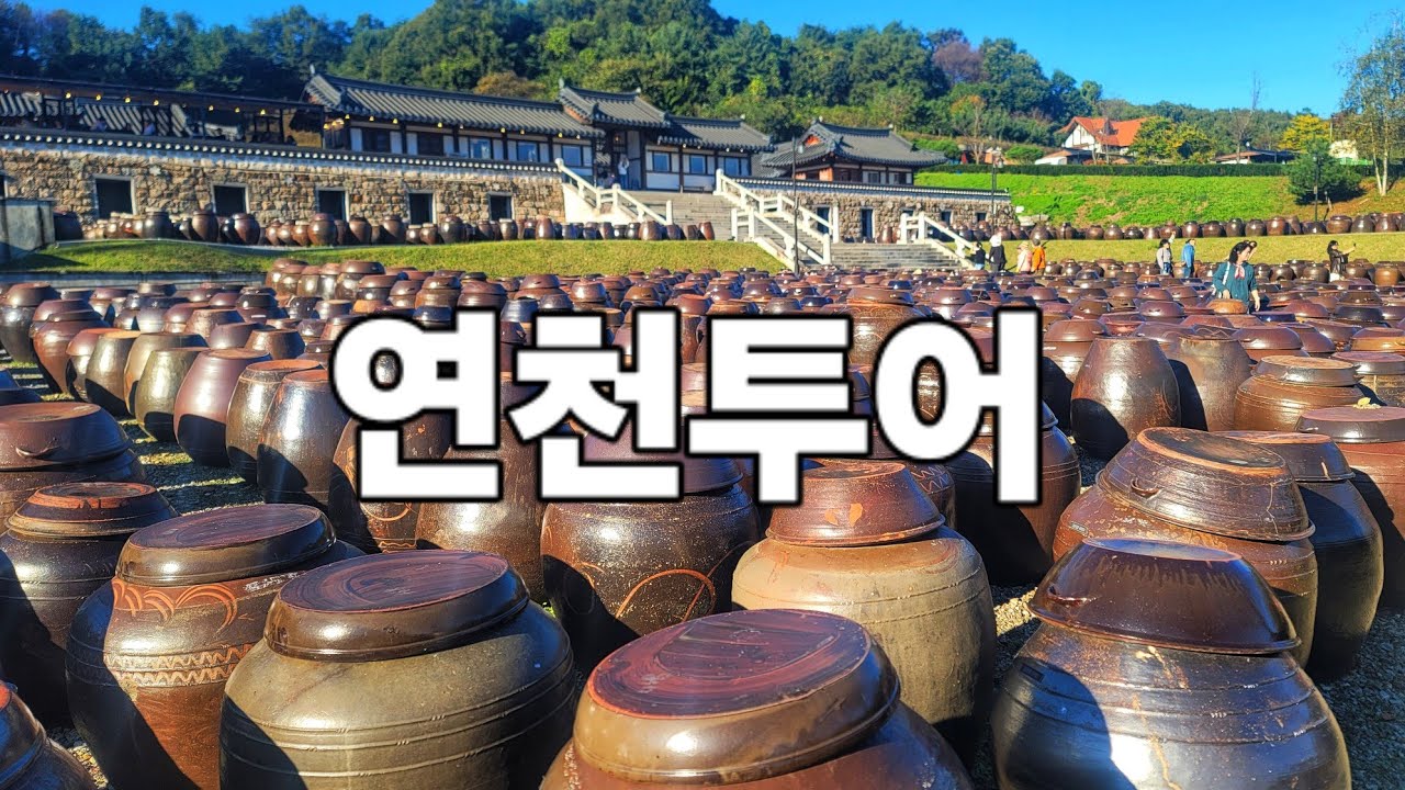 연천투어 5곳/ 재인폭포→ 국화축제→ 전곡유적→ 댑싸리정원→ 한옥카페