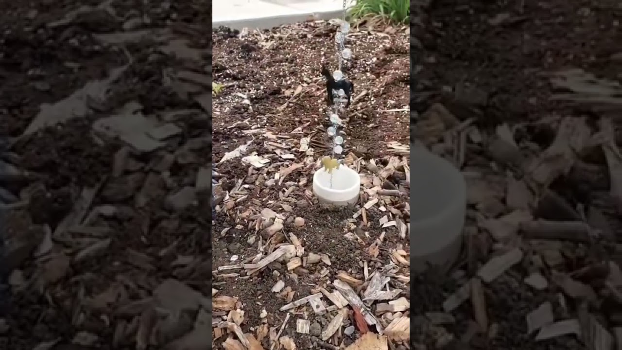 This cache will ROCK your WORLD!