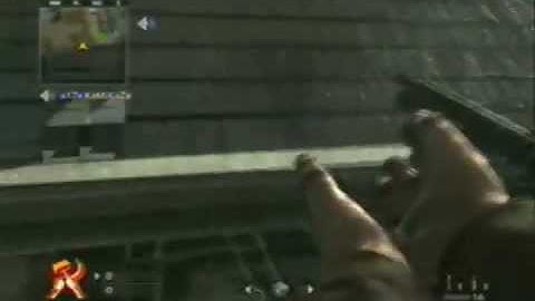 Call of Duty World At War: Asylum Glitches, Tips and Tricks