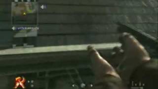 Call of Duty World At War: Asylum Glitches, Tips and Tricks