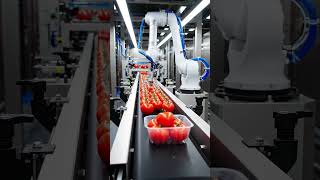 How One Tiny Country Rivals American Farming