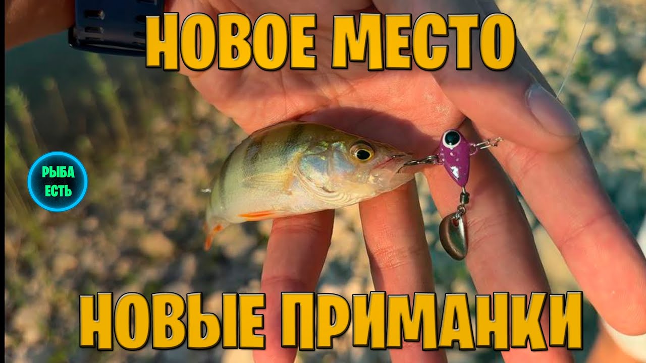 ПРИМАНКИ КОТОРЫЕ ЛОВЯТ👍. РЫБАЛКА С ПОДПИСЧИКАМИ. 