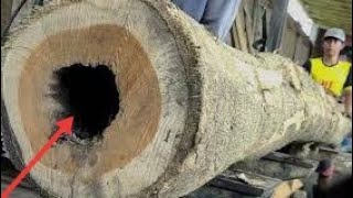 KAYU BOLONG!! ada penampakan,tersambar petir  mendadak kayu di tebang chainsaw digergaji bandsaw