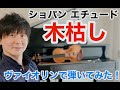 ショパン エチュードOp.25-11「木枯し」をヴァイオリンで弾いてみたChopin Etude 25-11 "Winter Wind" Violin Cover