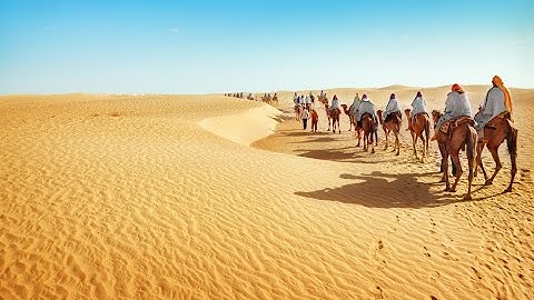The Trans Saharan Trade Routes Part 1