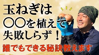 【目から鱗】玉ねぎは〇〇を植えて失敗しらず誰でもできる栽培方法教えます。【自然農法】