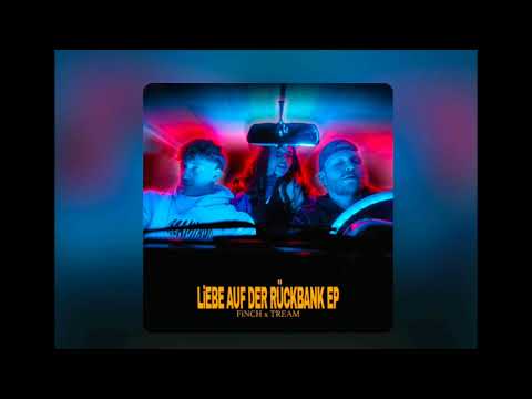 TREAMIBOII - TREAM FINCH UND TREAM * LIEBE AUF DER RÜCKBANK (LUCA & NIKLAS)