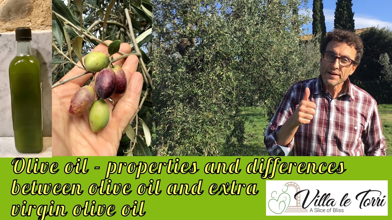 Olive oil properties and differences between olive oil and extra