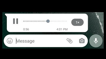 قل سيروا في الارض فانظروا / القارئ طارق محمد