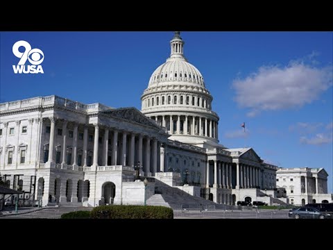 Video: Hvor er filibuster i forfatningen?