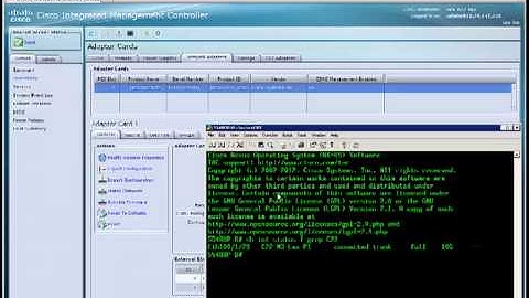 C-Series Quick Tip Single Wire Managment Stand Alone
