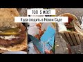 ТОП-5 МЕСТ ГДЕ ВКУСНО ПОКУШАТЬ В СЕРБИИ /// в Новом Саде 2020