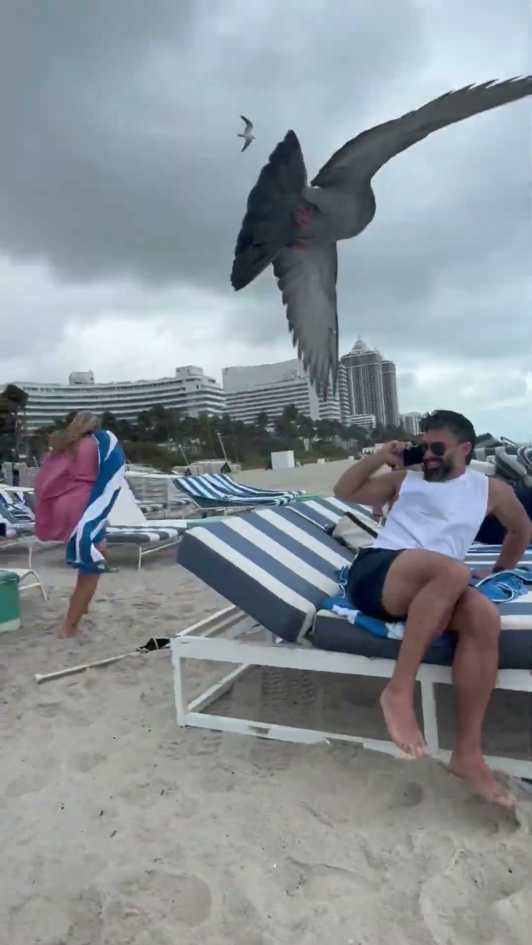Flock Of Gulls Screech Over Beachgoers || ViralHog